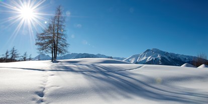 Wellnessurlaub - Tiroler Oberland - Glitzernde Winteridylle genießen - auch im Winter ein Genuss mit Ihrem vierbeinigen Freund - Inntalerhof - DAS Panoramahotel