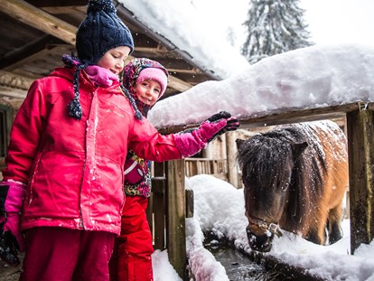 Wellnessurlaub - Wellness mit Kindern - Pony Reiten direk am Hotel - Alpin Family Resort Seetal****s