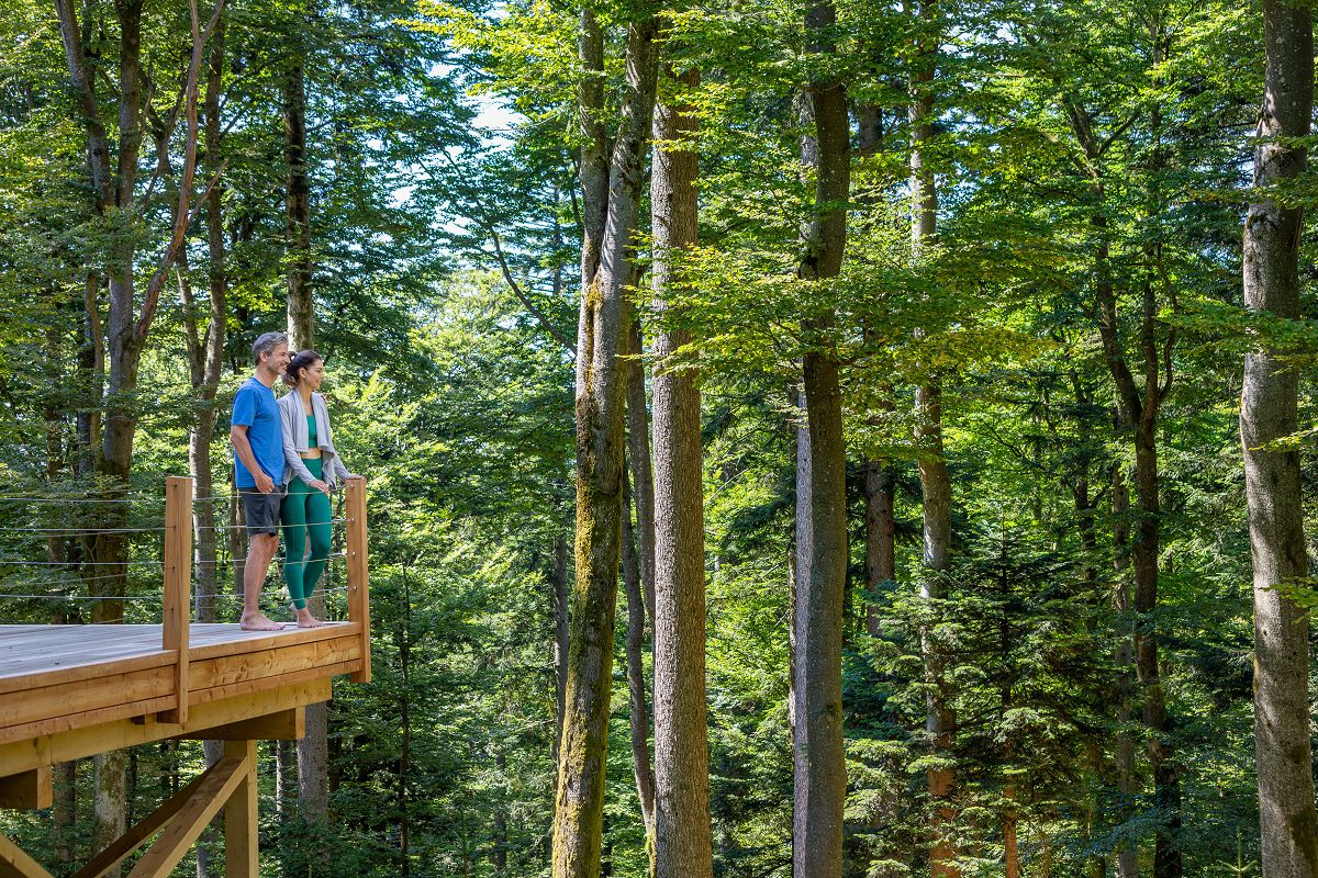 Hotel des Monats Dezember: Wellness & Naturresort Reischlhof in Wegscheid - wellness-hotel.info