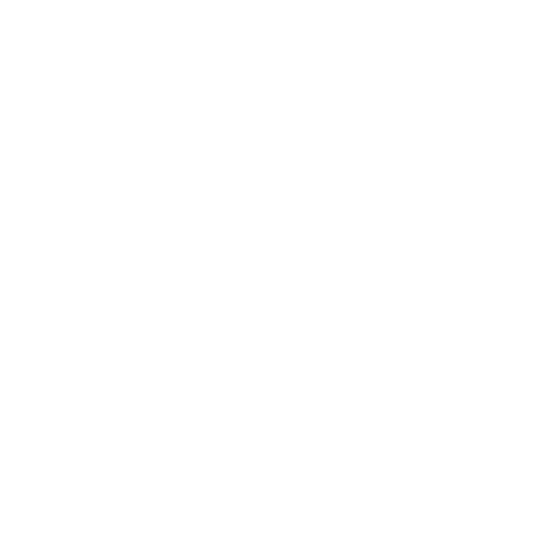 Icon FAQ