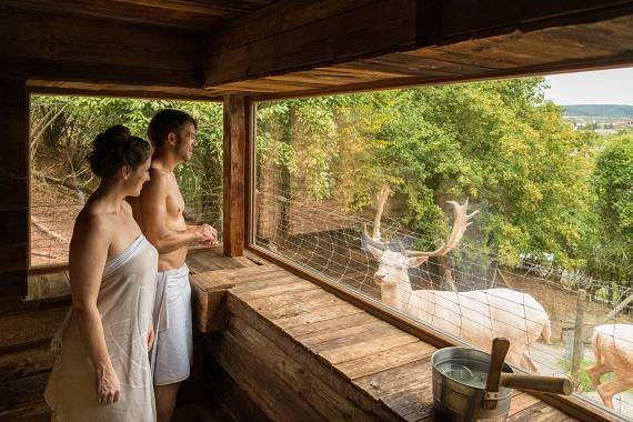 Sauna im BollAnts Spa im Park