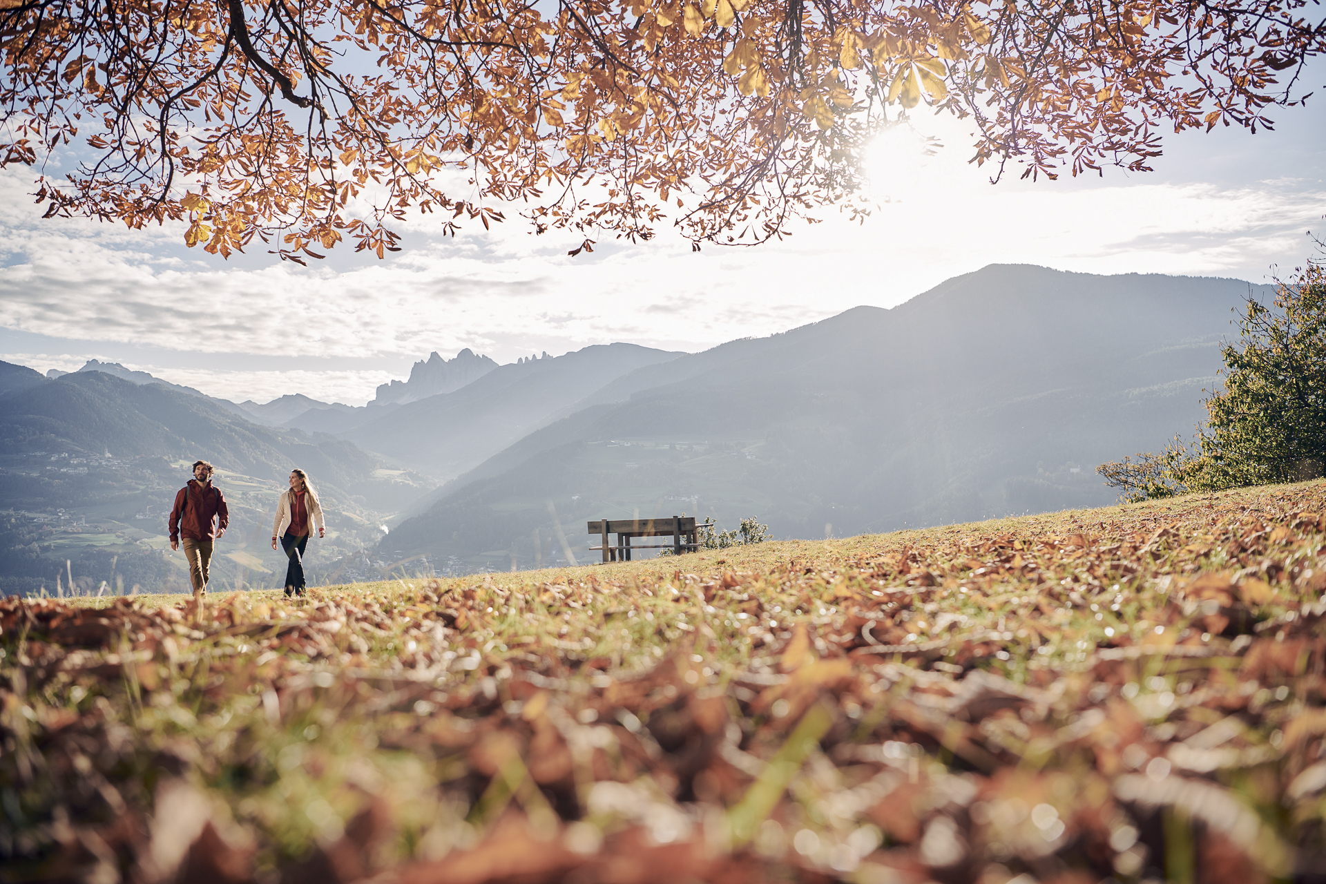 Wein. Wandern. Wellness. - SEELEITEN Lake Spa Hotel