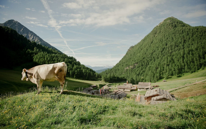 Sommergenuss in Südtirol - Hotel Masl