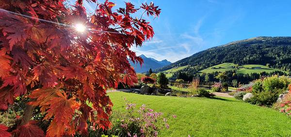 Zauberhafter Herbst - Alpbacherhof****s - Mountain & Spa Resort