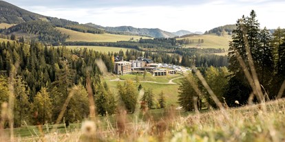 Wellnessurlaub - Wirbelsäulenmassage - Steiermark - Almwellness Hotel Pierer