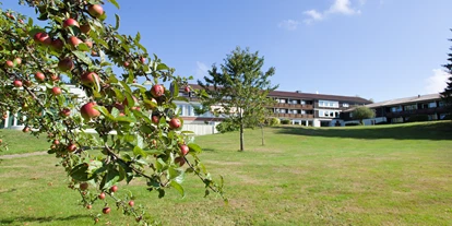 Wellnessurlaub - Pools: Innenpool - Ottenhöfen im Schwarzwald - Außengelände - Hotel Schwarzwald Freudenstadt
