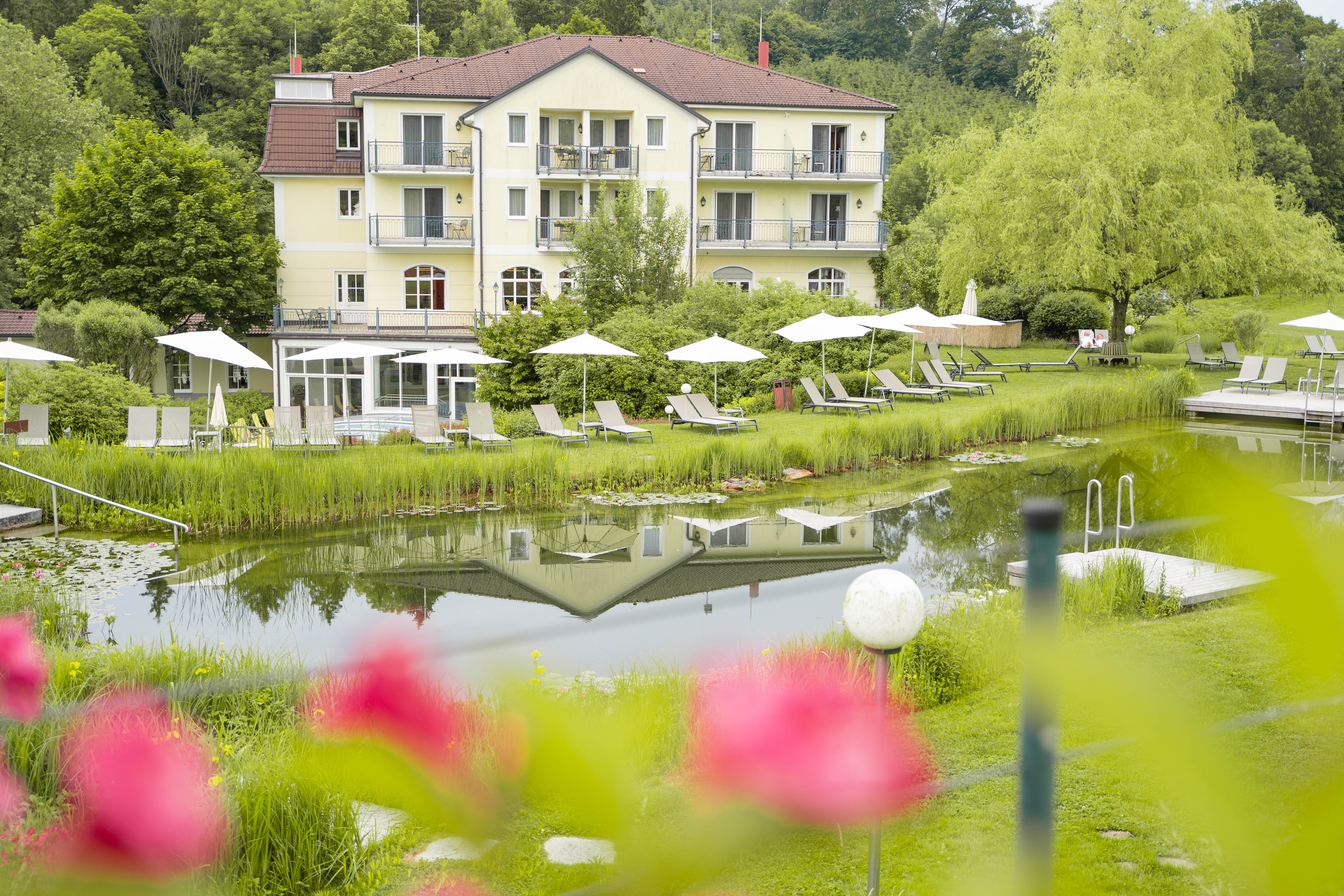 Wellnesshotel - RelaxResort Kothmühle mit Naturbadeteich - RelaxResort Kothmühle