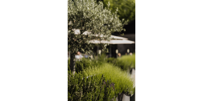Wellnessurlaub - Kräutermassage - Andalo - Mediterrane Pflanzen verleihen eine harmonische Atmosphäre - Hotel das stachelburg
