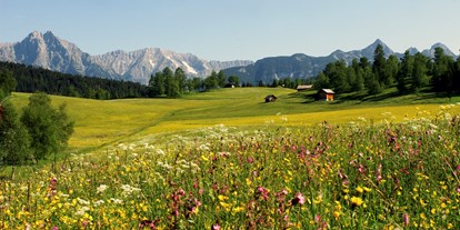 Wellnessurlaub - Ayurveda-Therapie - Garmisch-Partenkirchen - Natur & Spa Hotel Lärchenhof