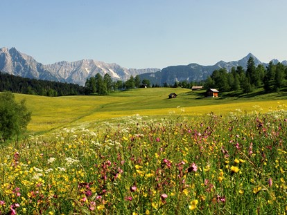 Wellnessurlaub - Rücken-Nacken-Massage - Garmisch-Partenkirchen - Natur & Spa Hotel Lärchenhof