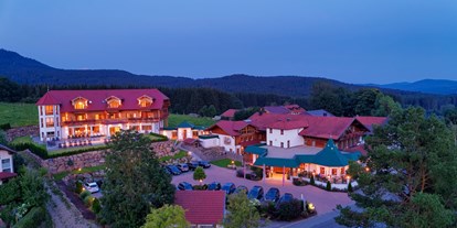 Wellnessurlaub - Meridian Bürstenmassage - Bayerischer Wald - Hotel - Wellness & Naturhotel Tonihof****