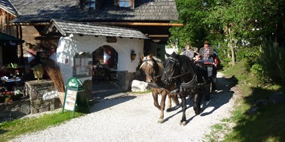 Wellnessurlaub - Fußreflexzonenmassage - Tratten (Steindorf am Ossiacher See) - Pferdekutschen Erlebnisfahrten - Hotel GUT Trattlerhof & Chalets****