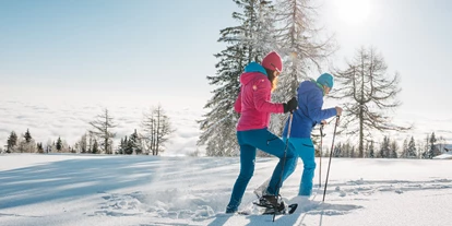 Wellnessurlaub - Hotel-Schwerpunkt: Wellness & Skifahren - Arndorf (Techelsberg am Wörther See) - Schneeschuhwanderung am Berg - Feuerberg Mountain Resort