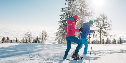 Wellnessurlaub - zustellbare Kinderbetten - Kärnten - Schneeschuhwanderung am Berg - Feuerberg Mountain Resort