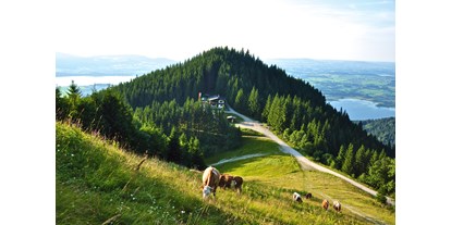 Wellnessurlaub - Hunde: auf Anfrage - Tiroler Oberland - Unsere Berghütte am Tegelberg  - Hotel Das Rübezahl