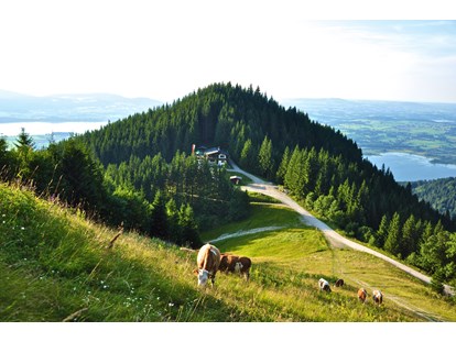 Wellnessurlaub - Außensauna - Schwangau - Unsere Berghütte am Tegelberg  - Hotel Das Rübezahl