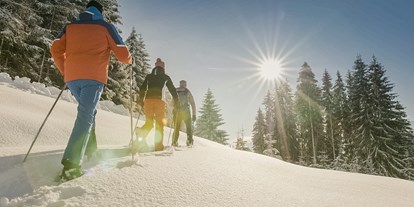 Wellnessurlaub - Thalasso-Therapie - Fügen - Schneeschuhwandern - Sport- und Wellnesshotel Held****s