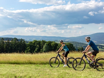 Wellnessurlaub - Hotelbar - Radsport im Bayerischen Wald - Wellness & Naturresort Reischlhof****S