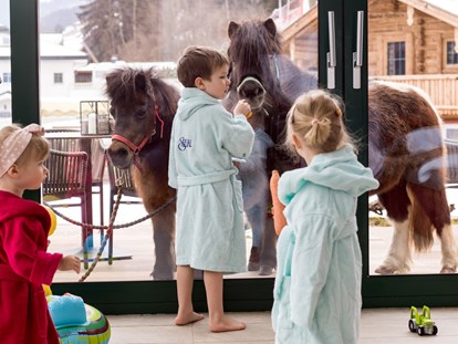 Wellnessurlaub - Pools: Innenpool - Tierischer Besuch - Alpin Family Resort Seetal****s