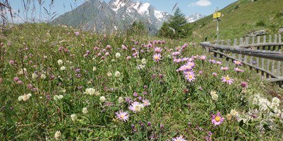 Wellnessurlaub - Fußreflexzonenmassage - Osttirol - Alpinhotel Jesacherhof