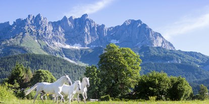 Wellnessurlaub - Fastenkuren - Tiroler Unterland - Hoteleigenes Lipizzaner-Gestüt inkl. Reitschule - Bio-Hotel Stanglwirt