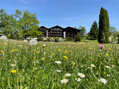 Wellnessurlaub - Paarmassage - Argenbühl - Frühling in Oberstaufen  - Lindner Hotel Oberstaufen Parkhotel