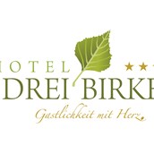 Wellnesshotel - Hotel Drei Birken