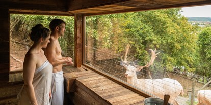 Wellnessurlaub - Umgebungsschwerpunkt: am Land - Hunsrück - Hubertus Sauna am Wildgehege - BollAnts Spa im Park
