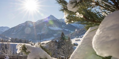 Wellnessurlaub - Blick zum  Großen Galtenberg von unserem Garten aus - Alpbacherhof****s - Mountain & Spa Resort