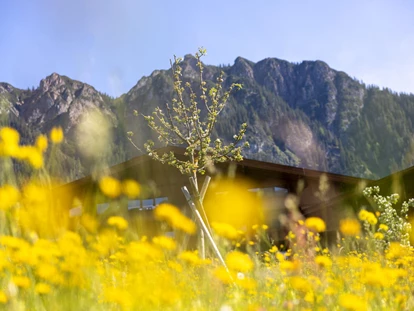 Wellnessurlaub - Außensauna - Luttach - Blühende Panoramawiese mit Blick auf die Alpbacher Berge  - Alpbacherhof****s - Mountain & Spa Resort