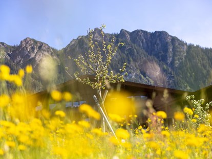 Wellnessurlaub - Gesichtsbehandlungen - Kössen Kranzach - Blühende Panoramawiese mit Blick auf die Alpbacher Berge  - Alpbacherhof****s - Mountain & Spa Resort