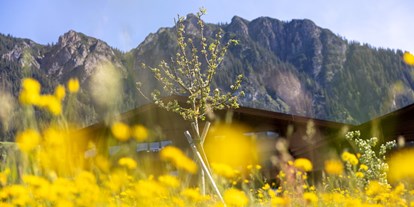 Wellnessurlaub - Hotelbar - Blühende Panoramawiese mit Blick auf die Alpbacher Berge  - Alpbacherhof****s - Mountain & Spa Resort