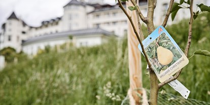 Wellnessurlaub - Bettgrößen: Doppelbett - Bad Aussee - Streuobstwiese, Thema Nachhaltigkeit, IMLAUER Hotel Schloss Pichlarn - IMLAUER Hotel Schloss Pichlarn