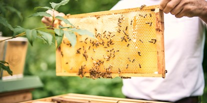 Wellnessurlaub - Bettgrößen: Doppelbett - Bad Aussee - Eigene Bienen für feinsten Pichlarner Honig, Thema Nachhaltigkeit, IMLAUER Hotel Schloss Pichlarn  - IMLAUER Hotel Schloss Pichlarn