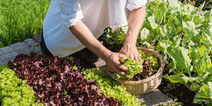 Wellnessurlaub - Kräutermassage - Olang - Salate vom eigenen Garten - Berglandhotel Untertheimerhof