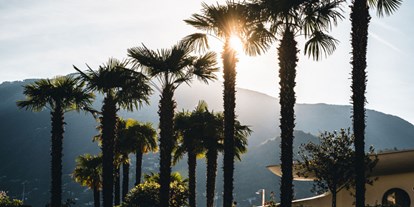 Wellnessurlaub - Bettgrößen: Twin Bett - Tessin - Palm trees in Switzerland - Hotel Eden Roc Ascona 