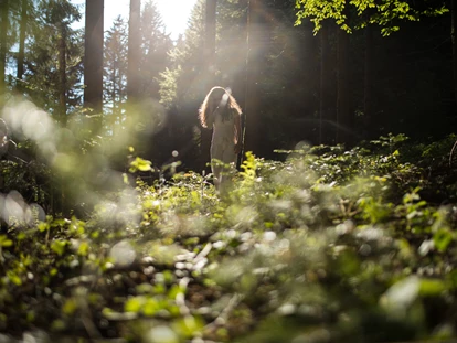 Wellnessurlaub - Kräutermassage - Bodolz - Haubers Wald ist zu allen Jahreszeiten und bei jedem Wetter ein Kraftort. - Haubers Naturresort