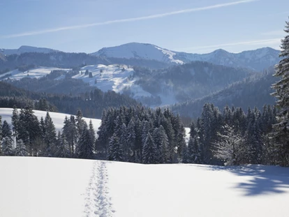 Wellnessurlaub - Restaurant - Argenbühl - Der Winter in Haubers Naturresort bietet viele Möglichkeiten zur Bewegung an der klare Luft und mit herrlichen Ausblicken. - Haubers Naturresort