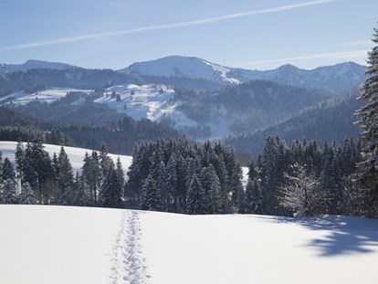 Wellnessurlaub - Ganzkörpermassage - Lech - Der Winter in Haubers Naturresort bietet viele Möglichkeiten zur Bewegung an der klare Luft und mit herrlichen Ausblicken. - Haubers Naturresort