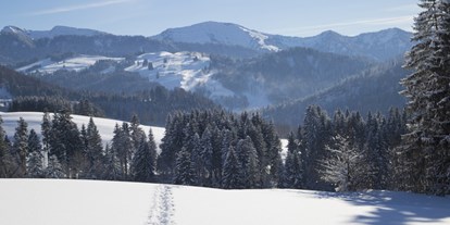 Wellnessurlaub - PLZ 87648 (Deutschland) - Der Winter in Haubers Naturresort bietet viele Möglichkeiten zur Bewegung an der klare Luft und mit herrlichen Ausblicken. - Haubers Naturresort