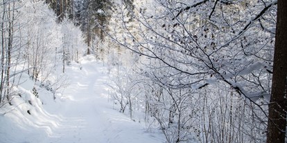 Wellnessurlaub - Entgiftungsmassage - Allgäu - Haubers verschneiter Wald ist ideal für romantische Spaziergänge und Winterwanderungen. - Haubers Naturresort
