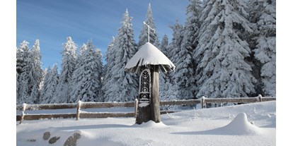 Wellnessurlaub - Langlaufloipe - Oberösterreich - INNs HOLZ Natur- & Vitalhotel**** Kapelle im Winter - INNs HOLZ Natur- & Vitalhotel****