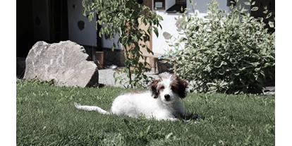 Wellnessurlaub - Hunde: hundefreundlich - Fürsteneck - INNs HOLZ Natur- & Vitalhotel**** Urlaub mit Hund - INNs HOLZ Natur- & Vitalhotel****s