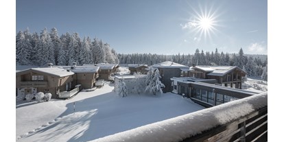 Wellnessurlaub - Fahrradverleih - Oberösterreich - INNs HOLZ Chaletdorf Resort im Winter - INNs HOLZ Chaletdorf