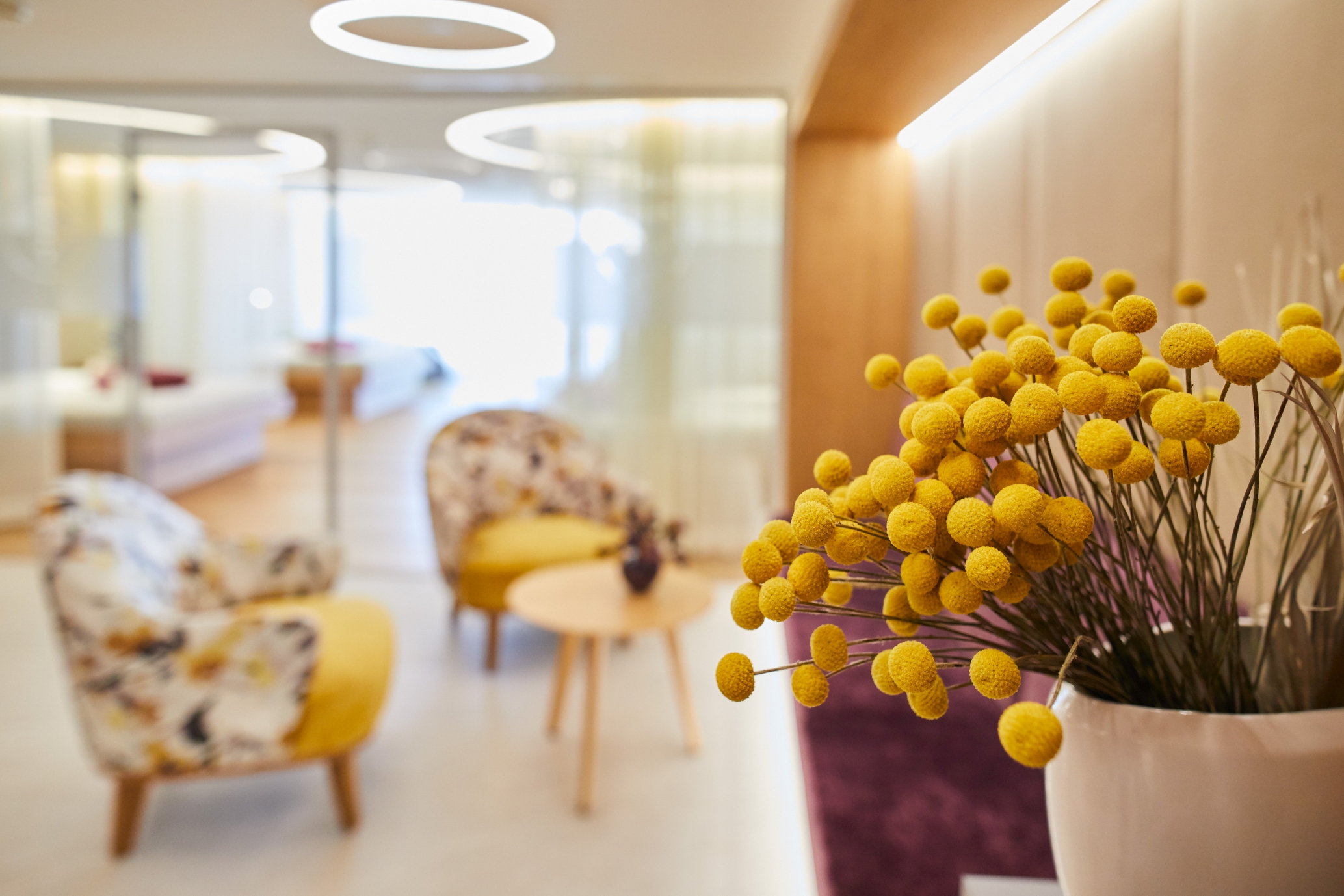 Wellnesshotel: SPA Rebenmeer - Wohlfühlhotel Alte Rebschule