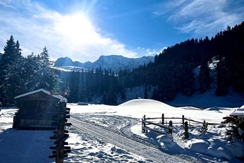 Wellnesshotel: Tirler Dolomites Living Hotel 