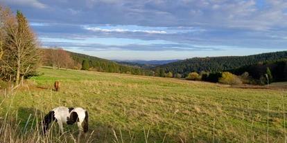 Wellnessurlaub - Day SPA - Erfurt - Ausblick - Hotel Kammweg am Rennsteig