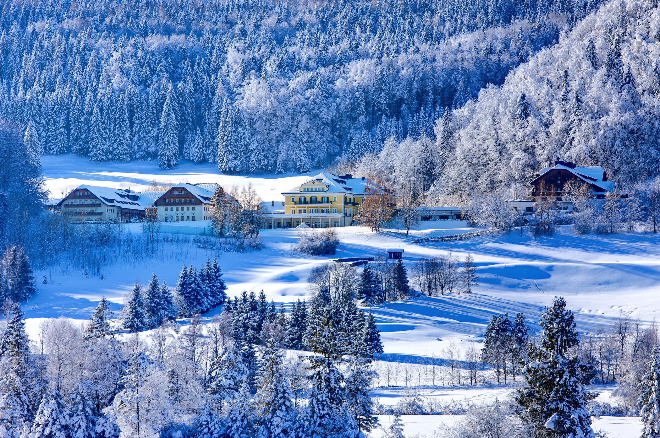 Wellnessurlaub - Salzkammergut - Winterlandschaft rund um das Arabella Jagdhof Resort am Fuschlsee - Arabella Jagdhof Resort am Fuschlsee