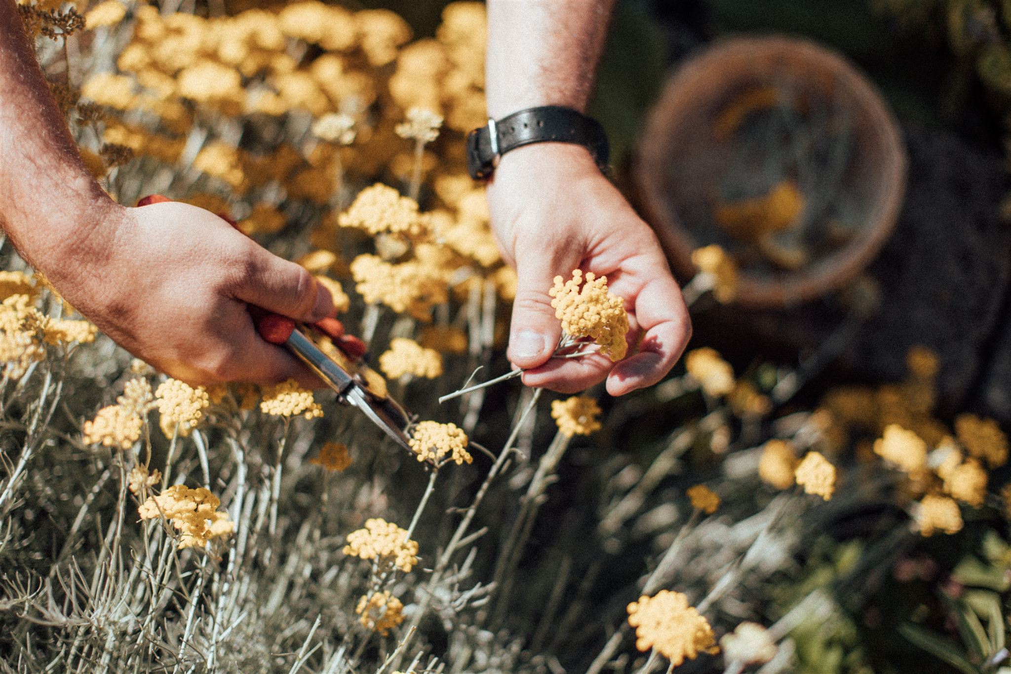 Wellnessurlaub - Bozen und Umgebung - theiner's garten - das Biorefugium
