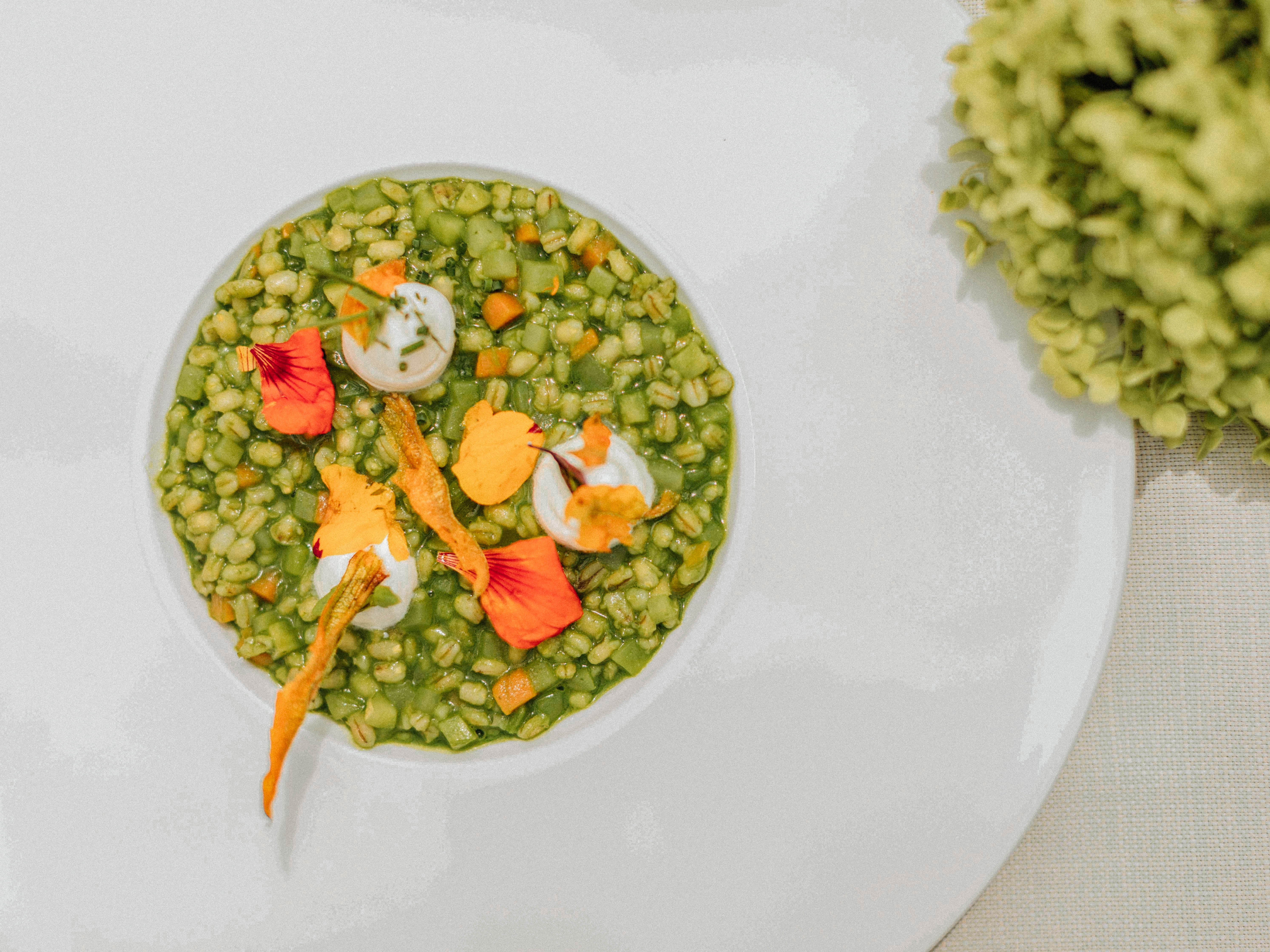 Wellnesshotel: theiner's garten - das Biorefugium